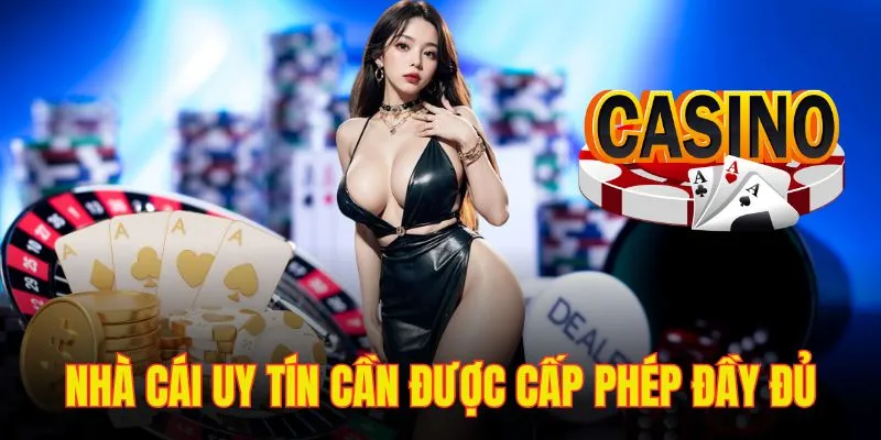 Điều khoản sử dụng chi tiết.